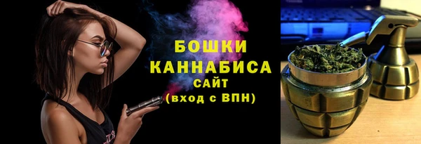 гидра Богородск