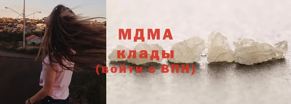 гидра Богородск