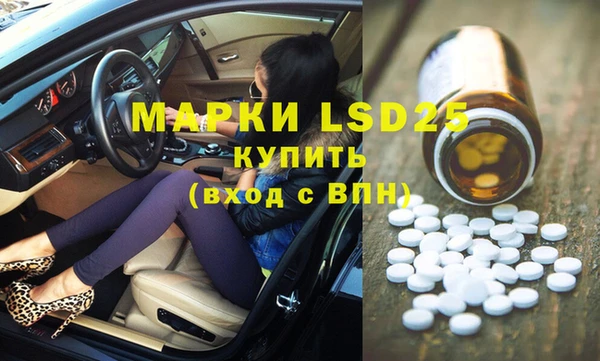 гидра Богородск