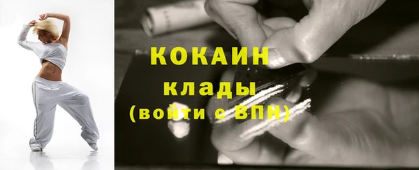 гидра Богородск