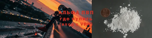 гидра Богородск