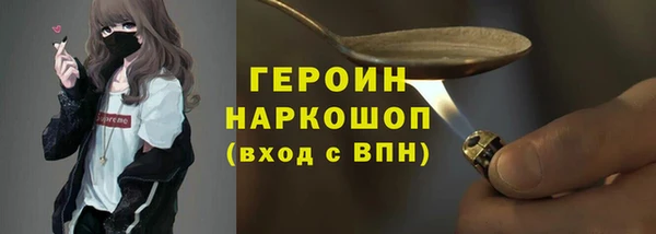гидра Богородск
