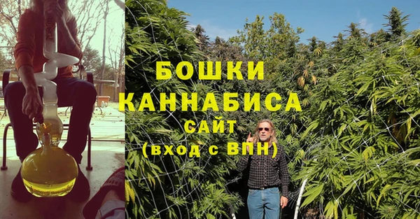 кокс Богородицк
