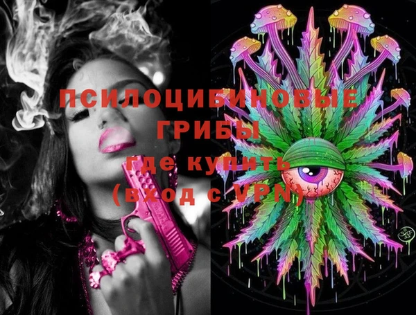 кокс Богородицк