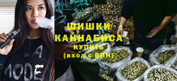 кокс Богородицк