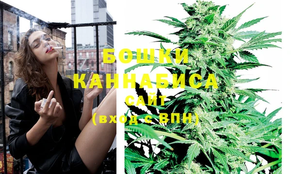 гидра Богородск