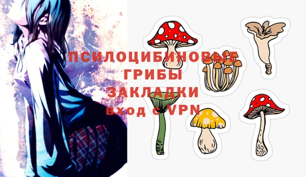 кокс Богородицк