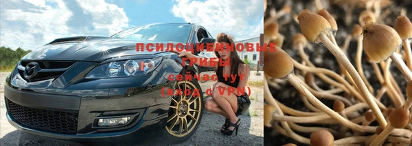 гидра Богородск
