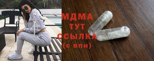 гидра Богородск