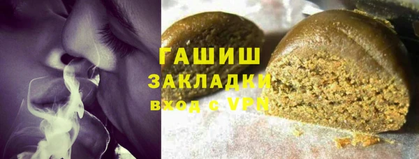 гидра Богородск