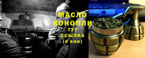 гидра Богородск