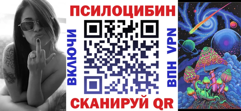 kraken как зайти  Называевск  Галлюциногенные грибы Magic Shrooms 